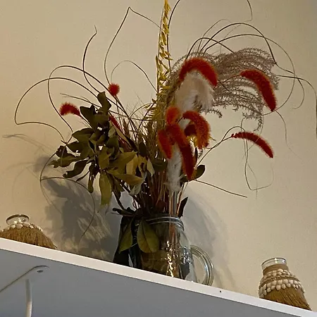 O Domaine Du Roussillon Saint-Nauphary